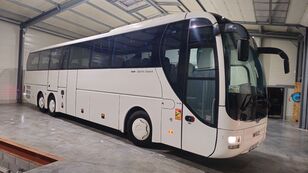 coach-bus-MAN-R09-Lions-Coach-LIFT516---1755239722167349067_common--25081509352030686700