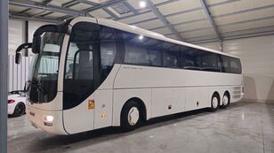 coach-bus-MAN-R09-Lions-Coach-LIFT516---1755239723493784804_common--25081509352030686700